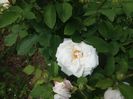 20160516_151254