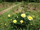 20160516_150708