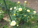 20160516_150703