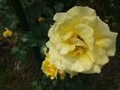 20160516_150700