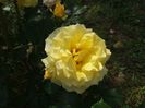 20160516_150654