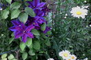 IMG_20160517_182155