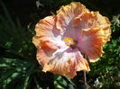 P1260748