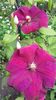 20160517_162958