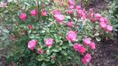 20160517_163008