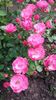 20160517_163013