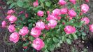 20160517_163018