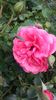 20160517_163028