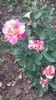 20160517_163229