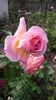 20160517_163306