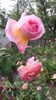 20160517_163311