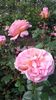 20160517_163315