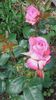 20160517_163859