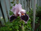 P1260757