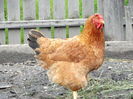 DSC01390
