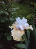 DSC00128