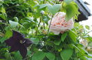 Abraham DArby si Romantika