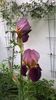 WP_20160514_011
