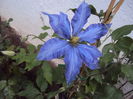 DSC00891