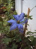 DSC00893