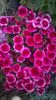 WP_20160517_20_51_21_Pro