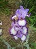 20160511_135604