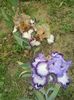20160511_135615