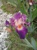 20160511_135651
