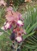 20160511_135700