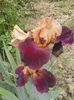 20160511_135719