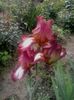 20160515_114253