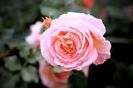 Abraham Darby