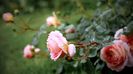 Abraham Darby