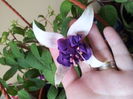 20140513_141345