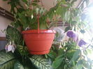 20140514_185840