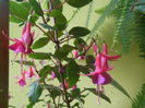 DSCN0031