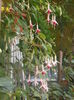 DSCN0038
