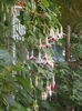 DSCN0039