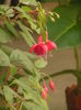 DSCN0043