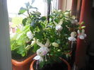 DSCN0322