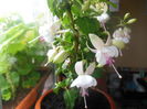 DSCN0323