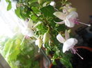 DSCN0324