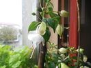 DSCN0326