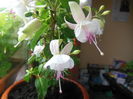 DSCN0327