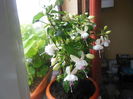 DSCN0330