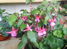 DSCN0336