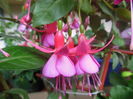 DSCN0338