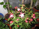 DSCN7741