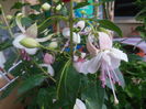 DSCN7756