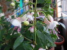 DSCN7759